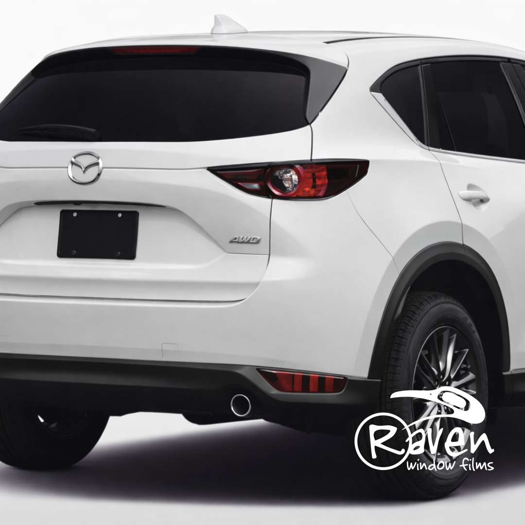 RavenHP NanoCarbon 05